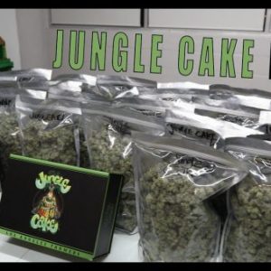 Jungle cake Jungleboys